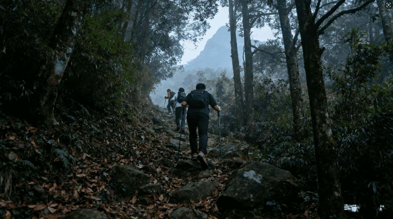 旋风辅助加速器二维码快速获取指南